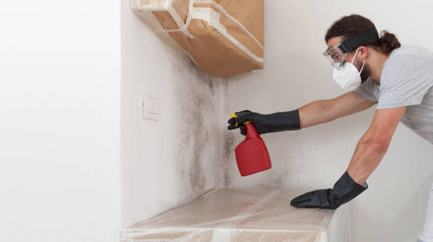 Professional Mold Remediation technician working in Woodland, PA